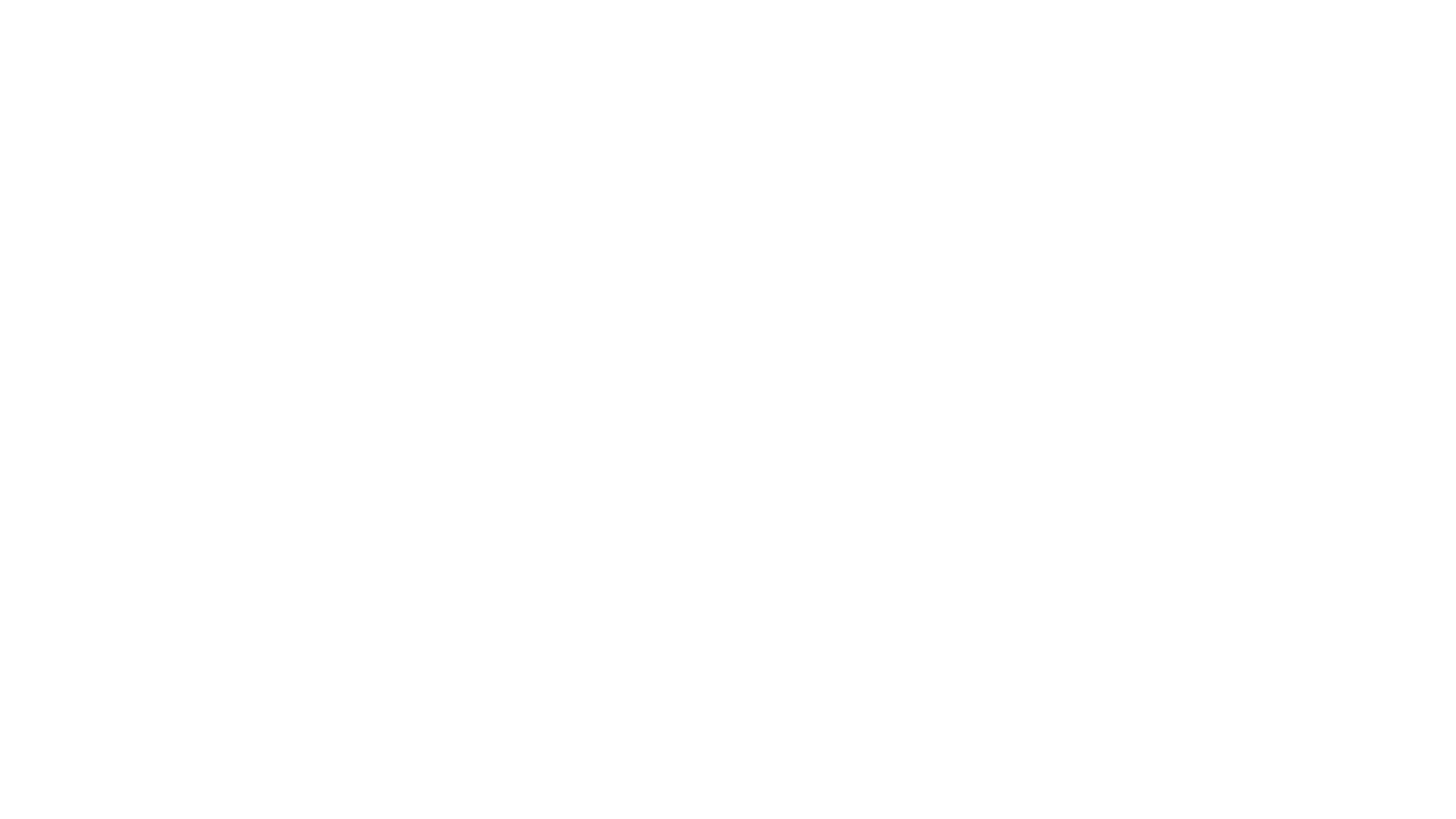 Tech Hawk Client